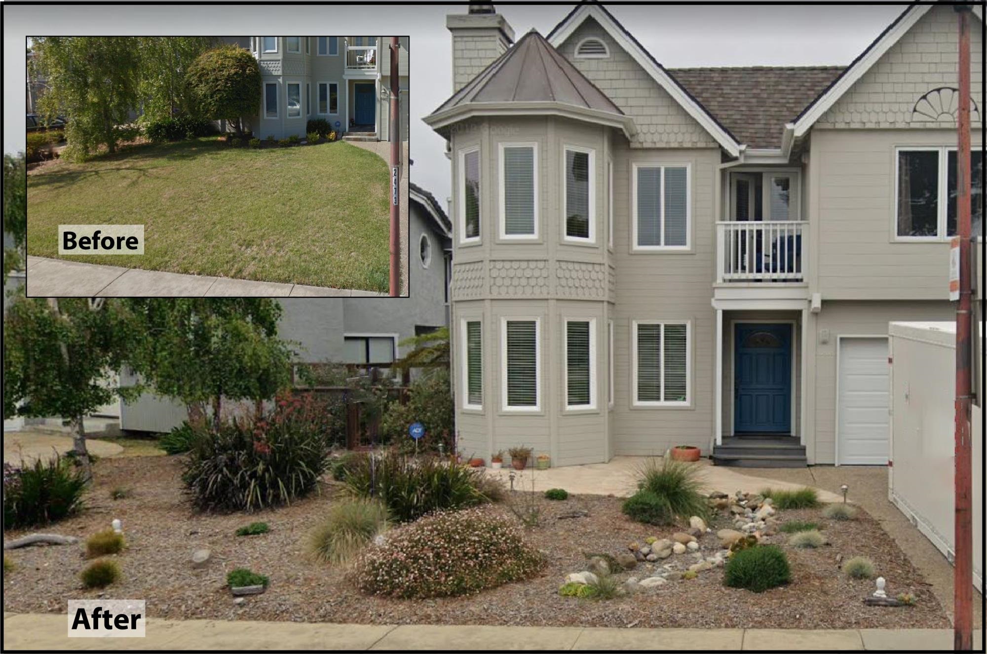 Before and after lawn conversion