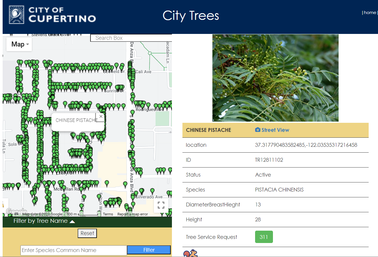 The Tree Finder App