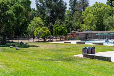 Blackberry Farm Grass Area