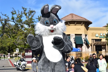 Big Bunny 5K