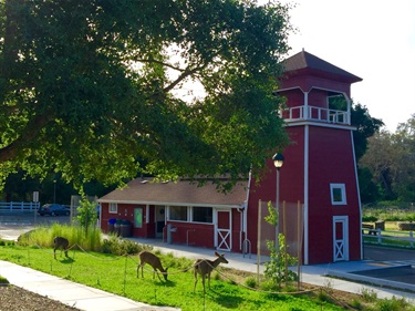 Deer and Water Tank