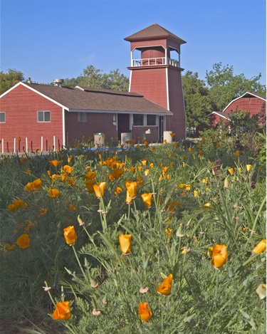 McClellan Ranch 1