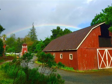 Rainbow and Barn