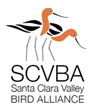 SCVBA.png