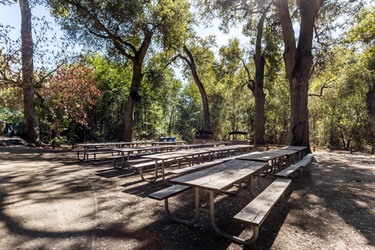 Owl Picnic Area