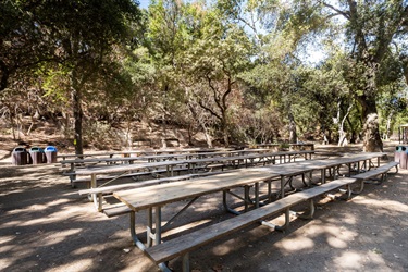 Sycamore Picnic Area