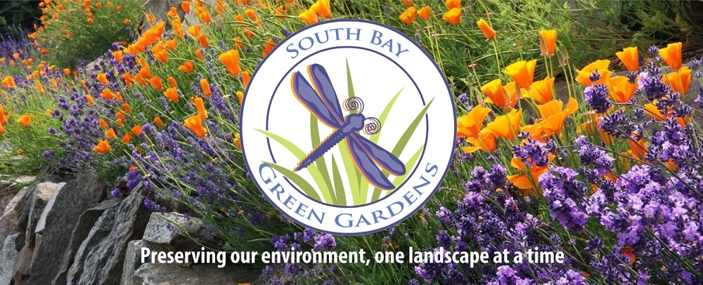 South Bay Gardens banner