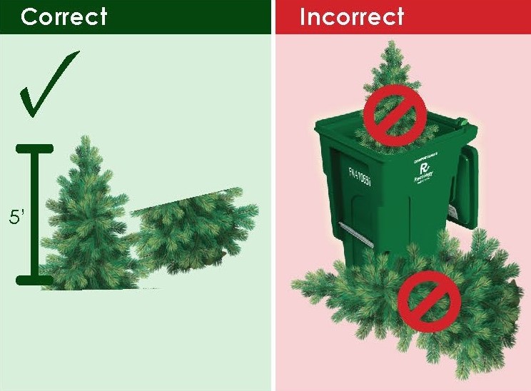 Christmas Tree Disposal Instructions